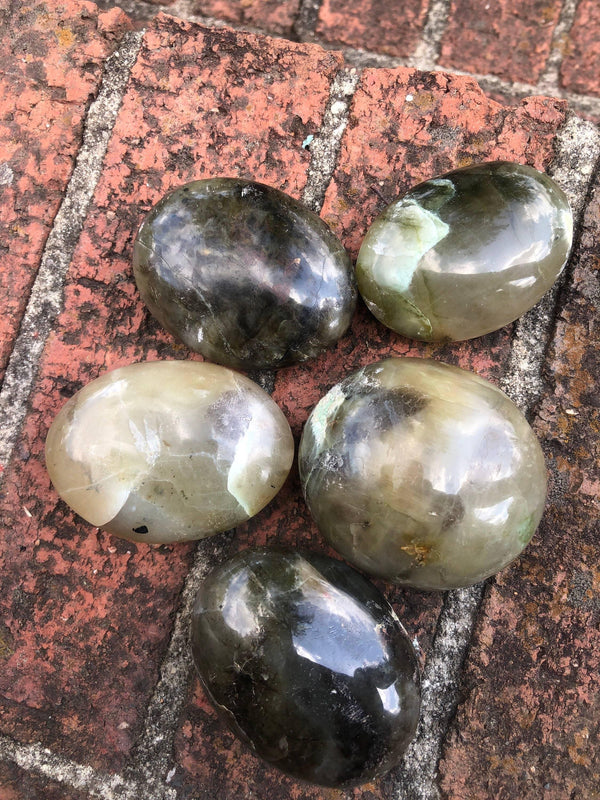 RARE Green Moonstone Palm Stone 2 1/2-3 Inch - Infinite Treasures, LLC